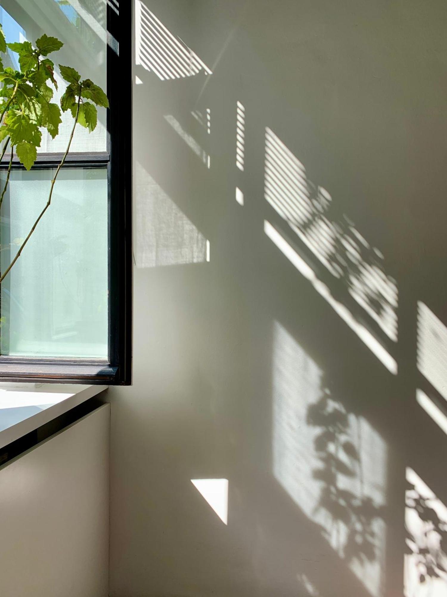 Heaven At 11, Your Deluxe Studio With Personal Bathroom, Kitchenette & Terrace ヘント エクステリア 写真